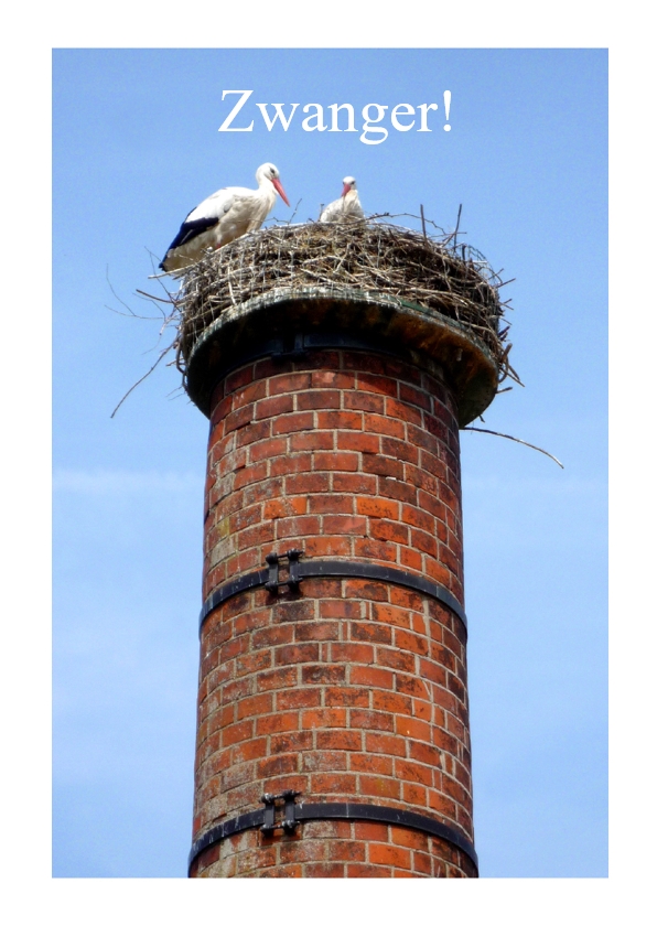 Zwanger - ooievaars op nest - Felicitatiekaarten Felicitatiekaarten - Zwanger - ooievaars op nest