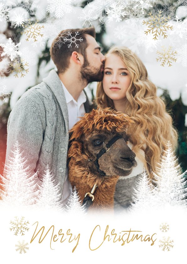 Fotokaart kerst boompjes, sneeuwvlokken en 'Merry Christmas' - Fotokaarten Fotokaarten - Fotokaart kerst boompjes, sneeuwvlokken en 'Merry Christmas'