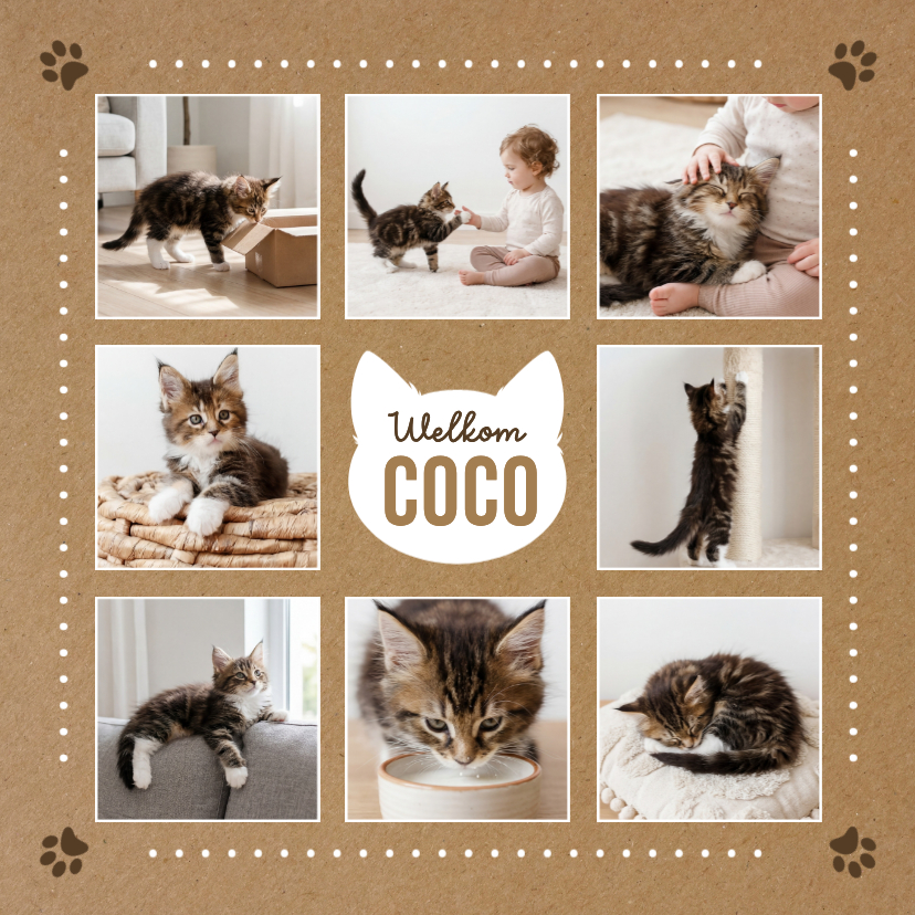 Fotokaart welkom kat kitten aankondiging - Fotokaarten Fotokaarten - Fotokaart welkom kat kitten aankondiging