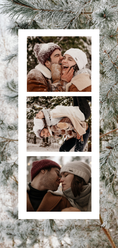 Photobooth collage met dennenbomen in de sneeuw - Fotokaarten Fotokaarten - Photobooth collage met dennenbomen in de sneeuw