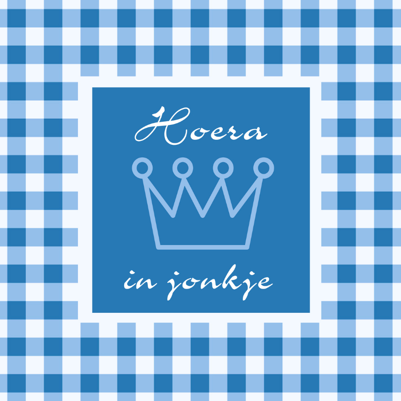 Bertekaartsje Hoera in jonkje - Fryske kaartsjes Fryske kaartsjes - Bertekaartsje Hoera in jonkje