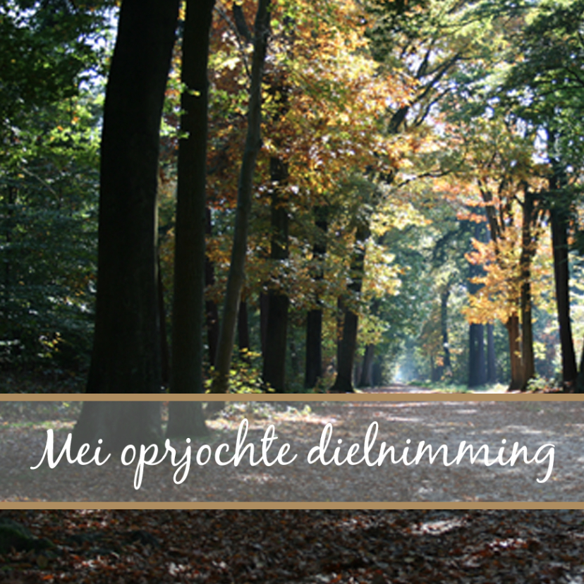 Mei oprjochte dielnimming - Fryske kaartsjes Fryske kaartsjes - Mei oprjochte dielnimming