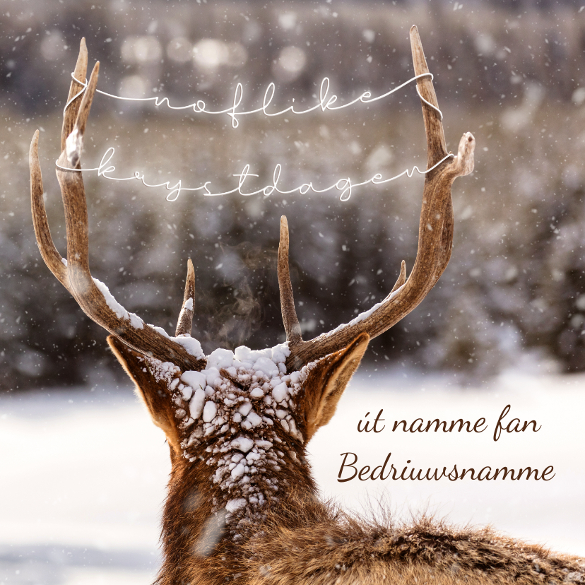 Zakelijke friese kerstkaart met mooie foto van rendier - Fryske kaartsjes Fryske kaartsjes - Zakelijke friese kerstkaart met mooie foto van rendier