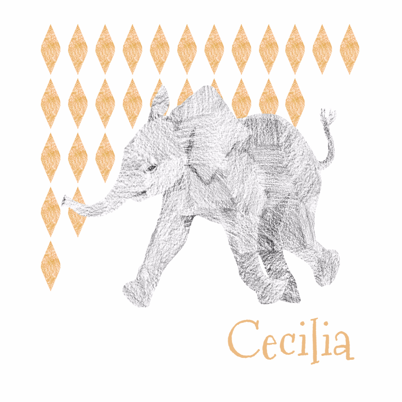 Baby Olifant - Geboortekaartjes Geboortekaartjes - Baby Olifant