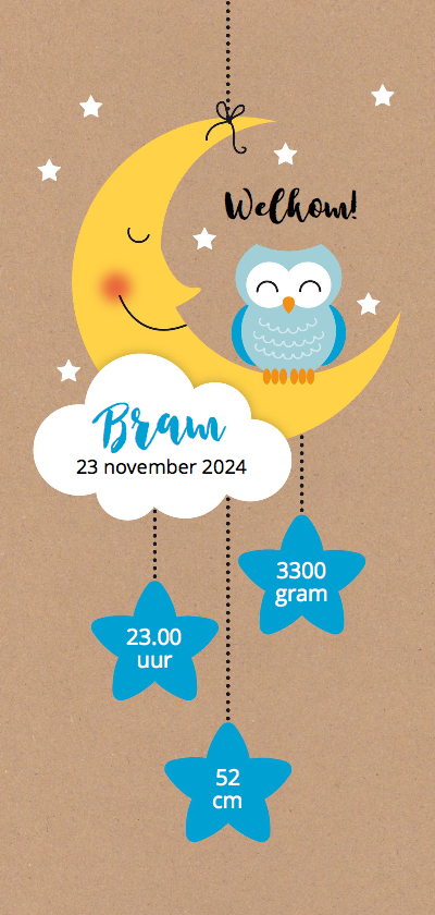 Blauw uiltje op maan met wolk en sterretjes - Geboortekaartjes Geboortekaartjes - Blauw uiltje op maan met wolk en sterretjes