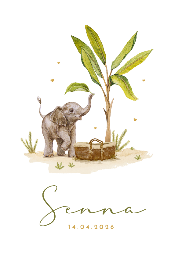 Geboortekaartjes - Boogkaart geboortekaartje olifant mandje baby bananenboom