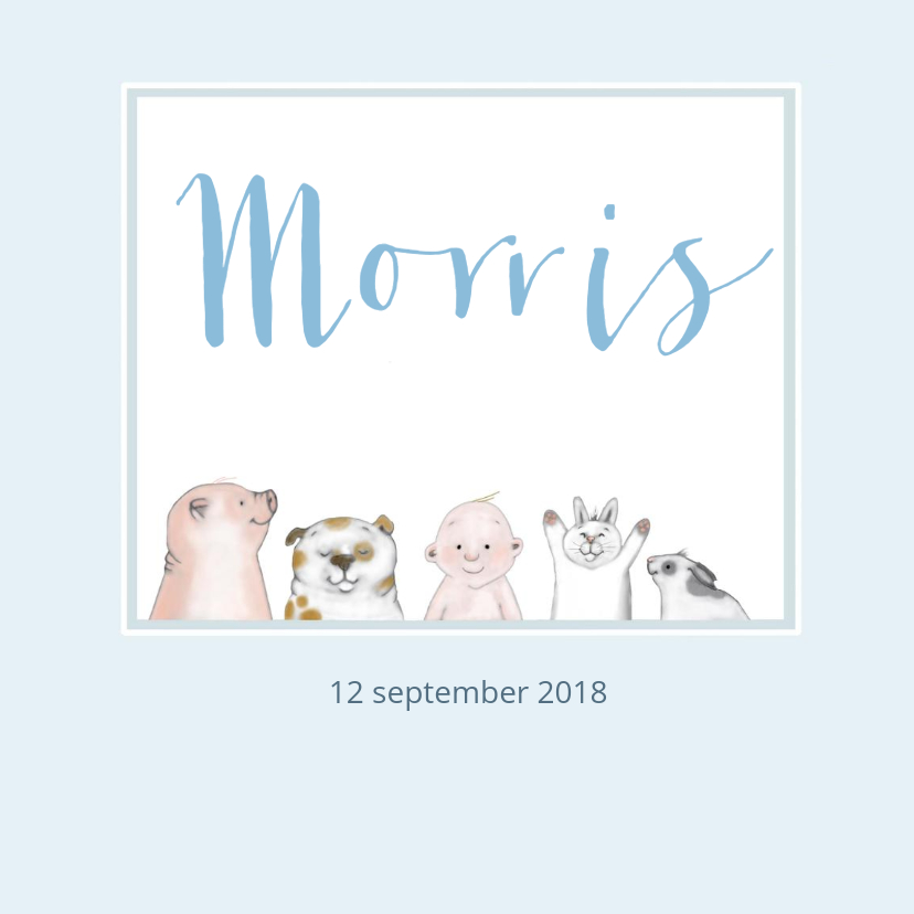 Geboorte - Baby diertjes - Geboortekaartjes Geboortekaartjes - Geboorte - Baby diertjes