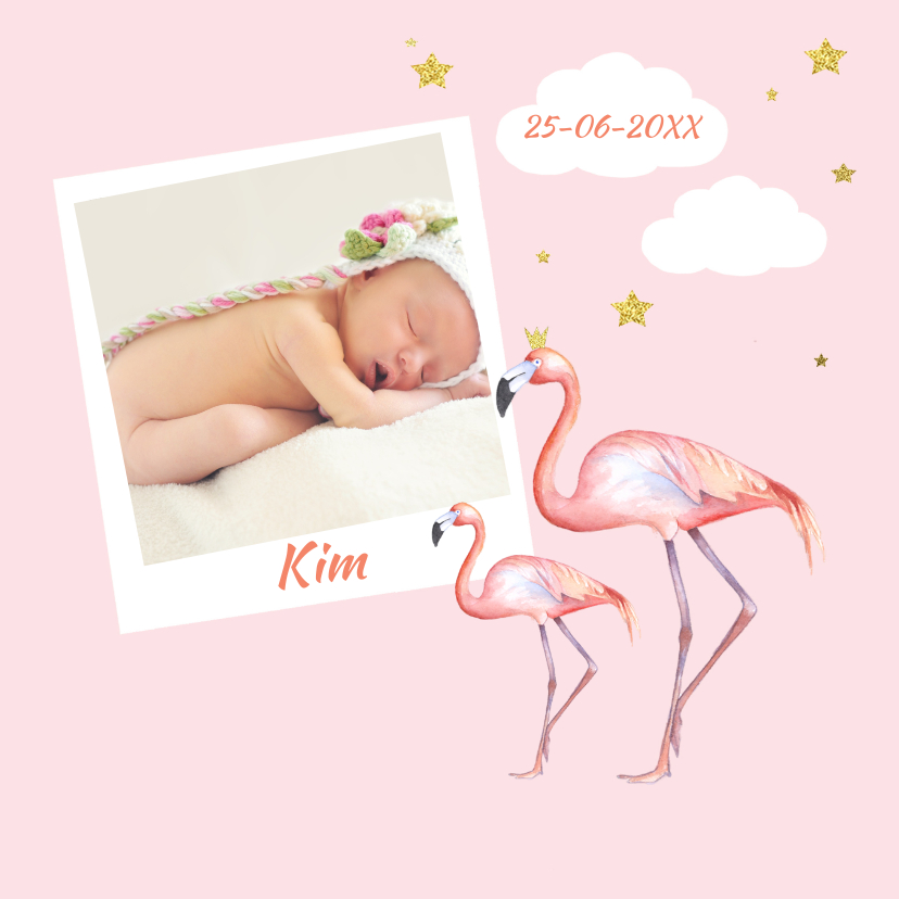 Geboorte flamingo meisje foto - Geboortekaartjes Geboortekaartjes - Geboorte flamingo meisje foto