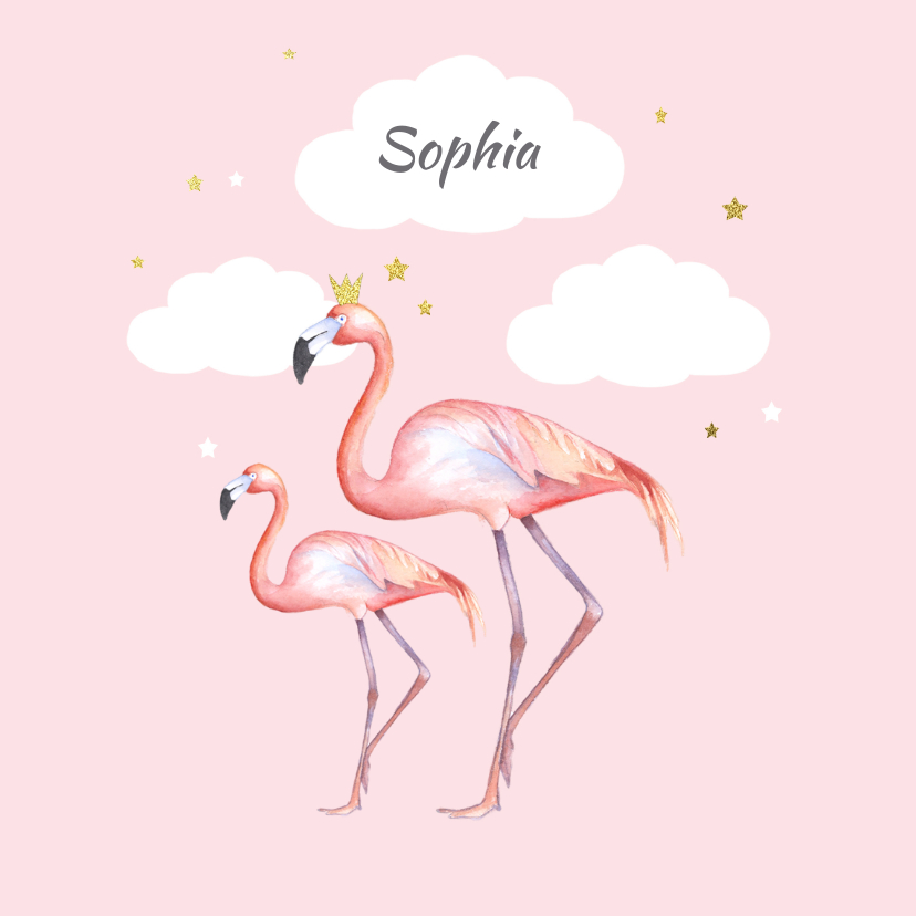 Geboorte flamingo meisje - Geboortekaartjes Geboortekaartjes - Geboorte flamingo meisje