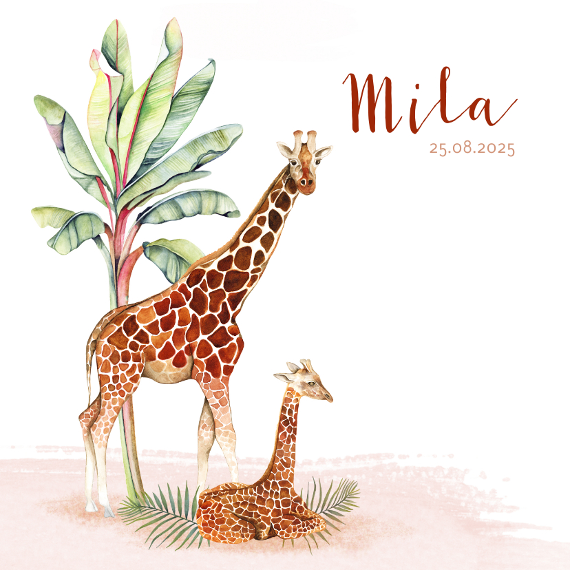 Geboortekaartjes - Geboorte giraf meisje