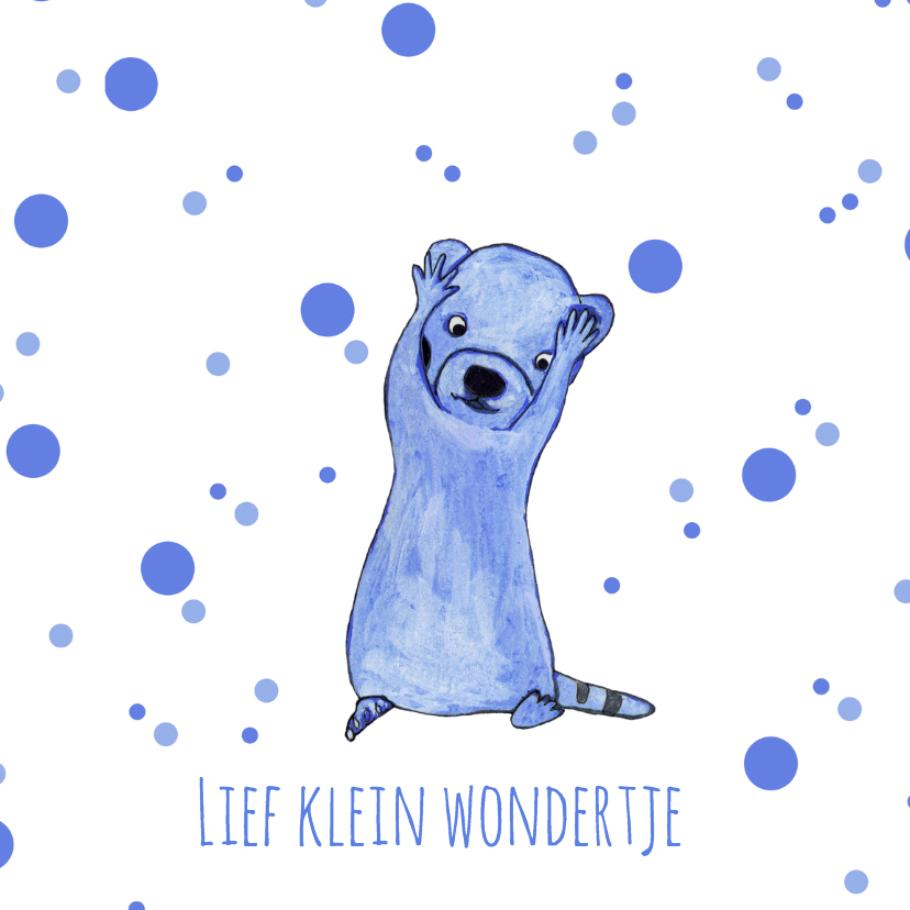 Geboorte-klein-wondertje-KK - Geboortekaartjes Geboortekaartjes - Geboorte-klein-wondertje-KK