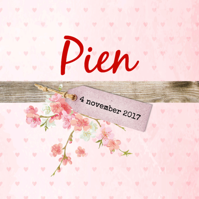 Geboorte lief pien - B - Geboortekaartjes Geboortekaartjes - Geboorte lief pien - B