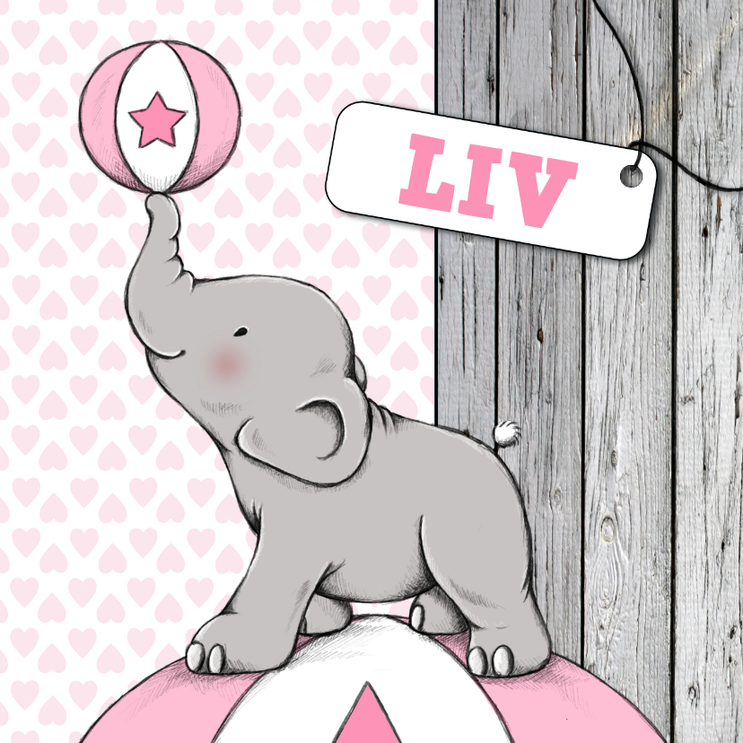 Geboortekaartjes - Geboorte meisje olifant bal - IH