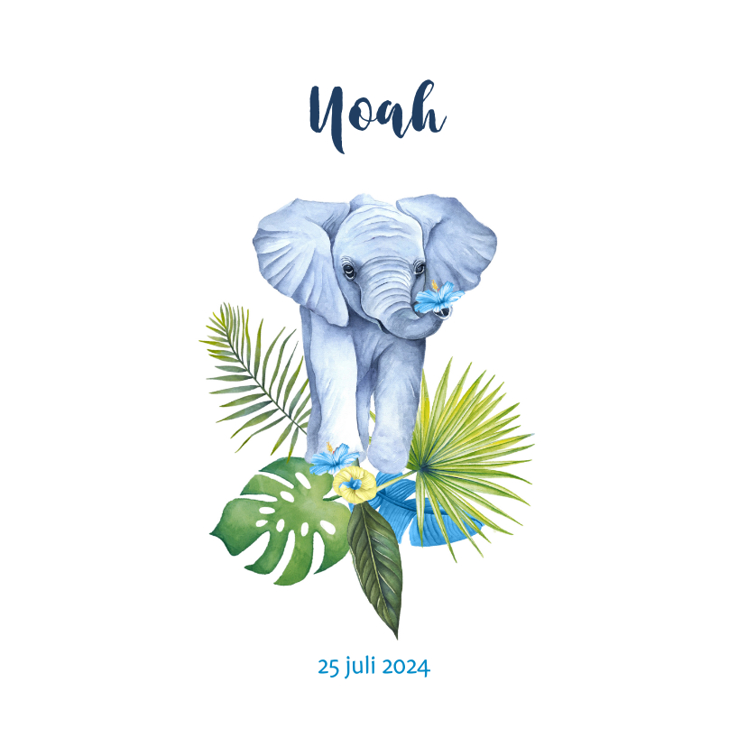 Geboorte olifant jongen - Geboortekaartjes Geboortekaartjes - Geboorte olifant jongen