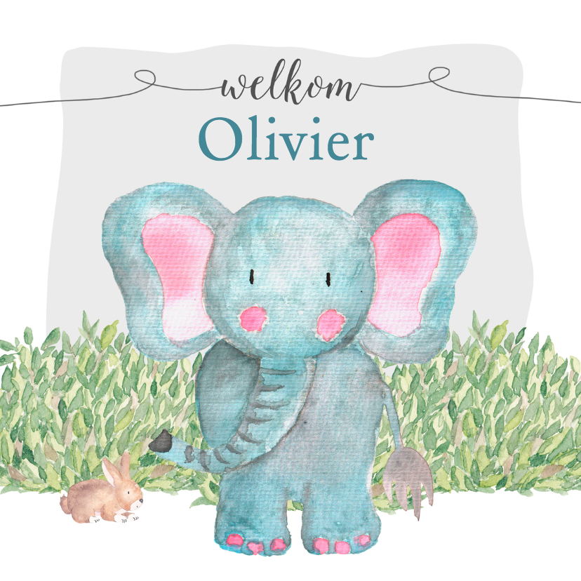 Geboorte olifant waterverf - DH - Geboortekaartjes Geboortekaartjes - Geboorte olifant waterverf - DH