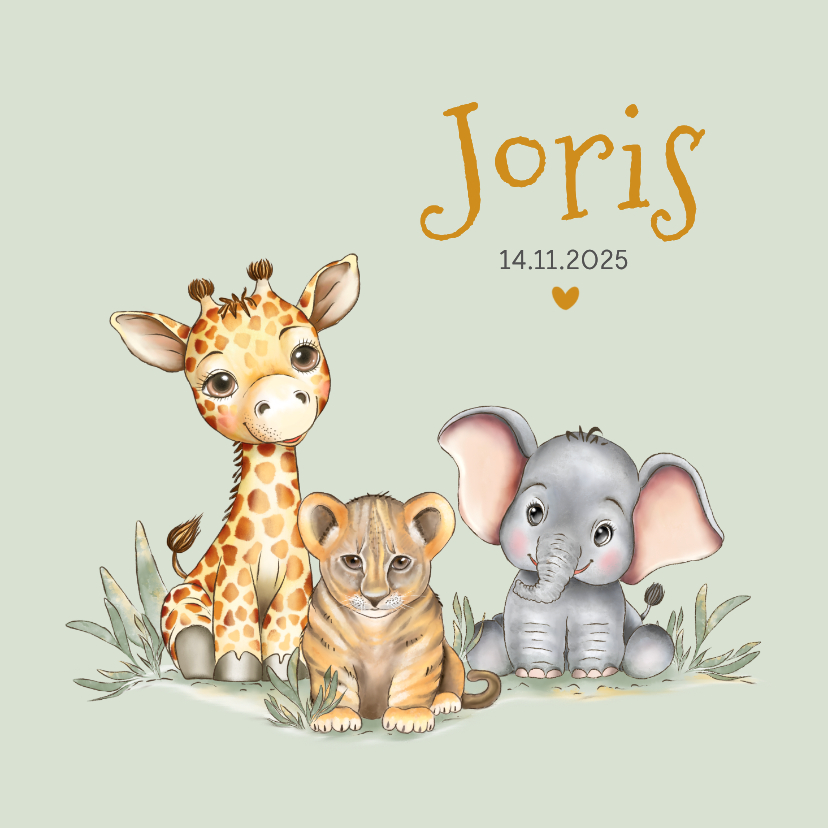 Geboortekaart giraf leeuw olifant groene achtergrond - Geboortekaartjes Geboortekaartjes - Geboortekaart giraf leeuw olifant groene achtergrond