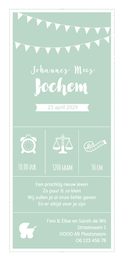 Geboortekaart langwerpig groen wit pictogrammen - BC - Geboortekaartjes Geboortekaartjes - Geboortekaart langwerpig groen wit pictogrammen - BC