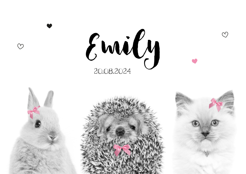 Geboortekaart - Lief baby konijntje, egeltje en kitten - Geboortekaartjes Geboortekaartjes - Geboortekaart - Lief baby konijntje, egeltje en kitten