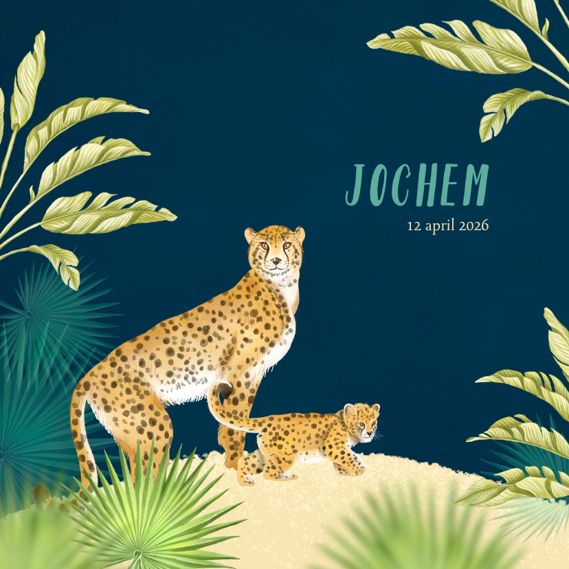 Geboortekaartjes - Geboortekaart luipaard jong in de jungle