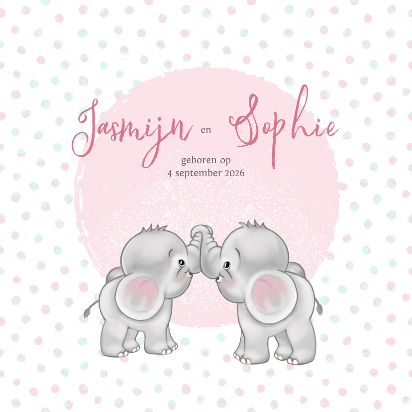 Geboortekaartjes - Geboortekaart meisje-tweeling olifantjes