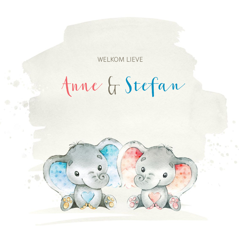 Geboortekaartjes - Geboortekaart met olifant tweeling j/m 