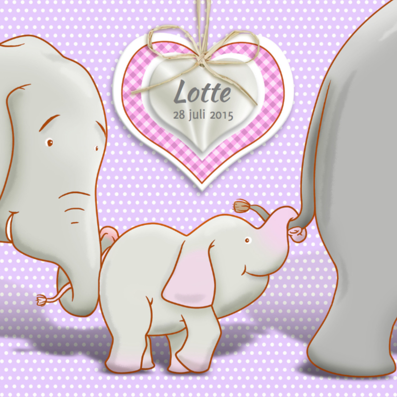 Geboortekaart met olifantjes voor een meisje - Geboortekaartjes Geboortekaartjes - Geboortekaart met olifantjes voor een meisje