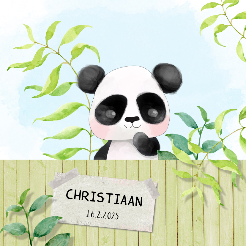 Geboortekaartjes - Geboortekaart Panda - jongen