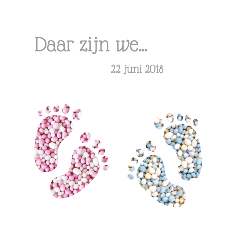 Geboortekaart tweeling kleine voetjes - Geboortekaartjes Geboortekaartjes - Geboortekaart tweeling kleine voetjes