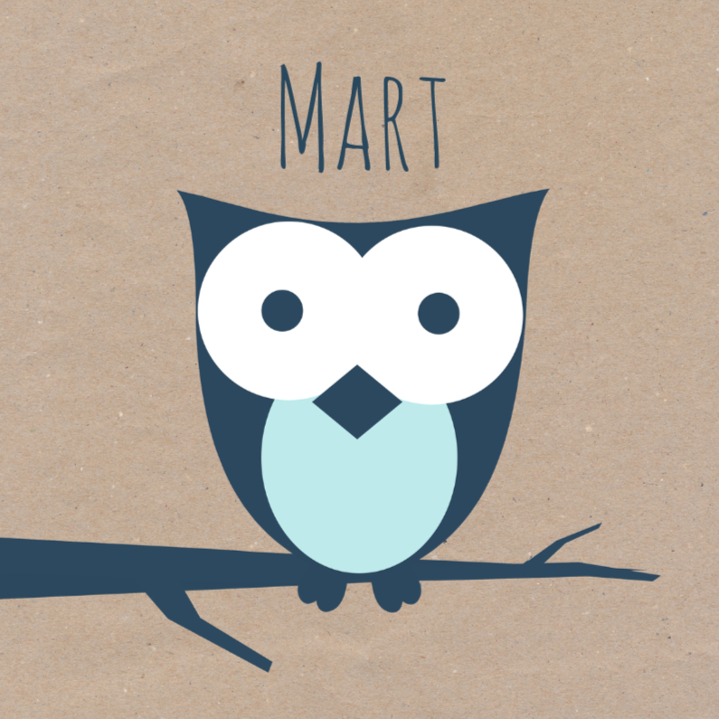 Geboortekaart uil kraft blauw - Geboortekaartjes Geboortekaartjes - Geboortekaart uil kraft blauw