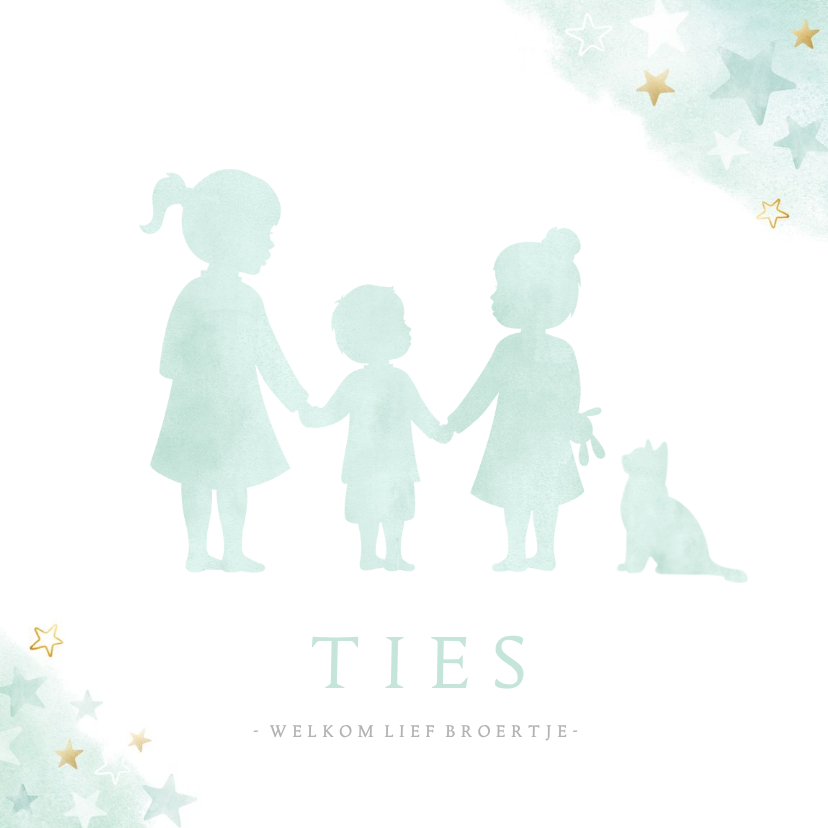 Geboortekaartjes - Geboortekaart voor een klein broertje met 2 zussen en poes
