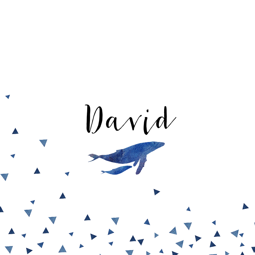 Geboortekaart whales - Geboortekaartjes Geboortekaartjes - Geboortekaart whales