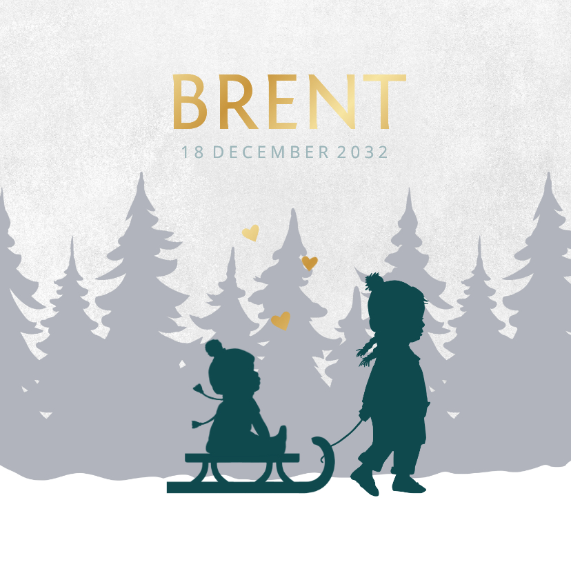 Geboortekaartje baby broertje slee met zus - Geboortekaartjes Geboortekaartjes - Geboortekaartje baby broertje slee met zus