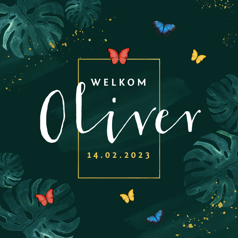 Geboortekaartje botanisch vlinders jongen tropisch - Geboortekaartjes Geboortekaartjes - Geboortekaartje botanisch vlinders jongen tropisch