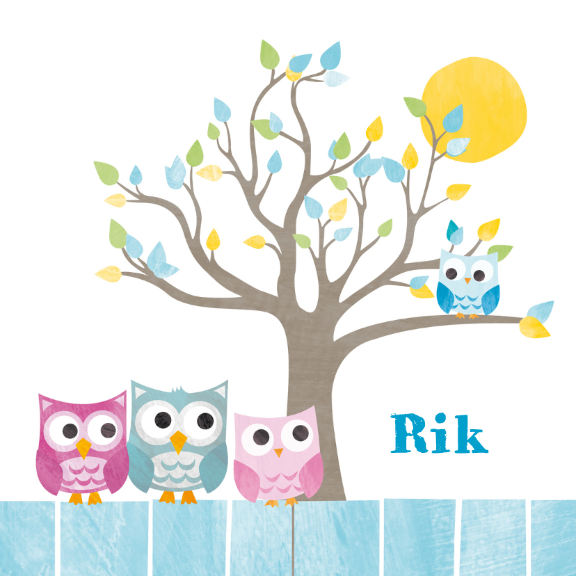 Geboortekaartjes - Geboortekaartje broer uiltjes