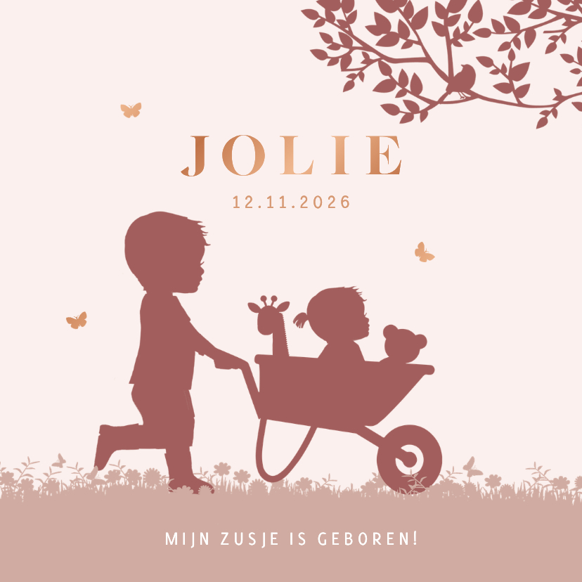 Geboortekaartje broertje kruiwagen en baby meisje - Geboortekaartjes Geboortekaartjes - Geboortekaartje broertje kruiwagen en baby meisje