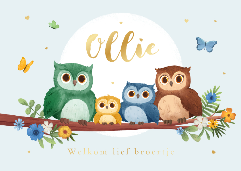 Geboortekaartjes - Geboortekaartje broertje lief uiltjes boom vlinders hartjes