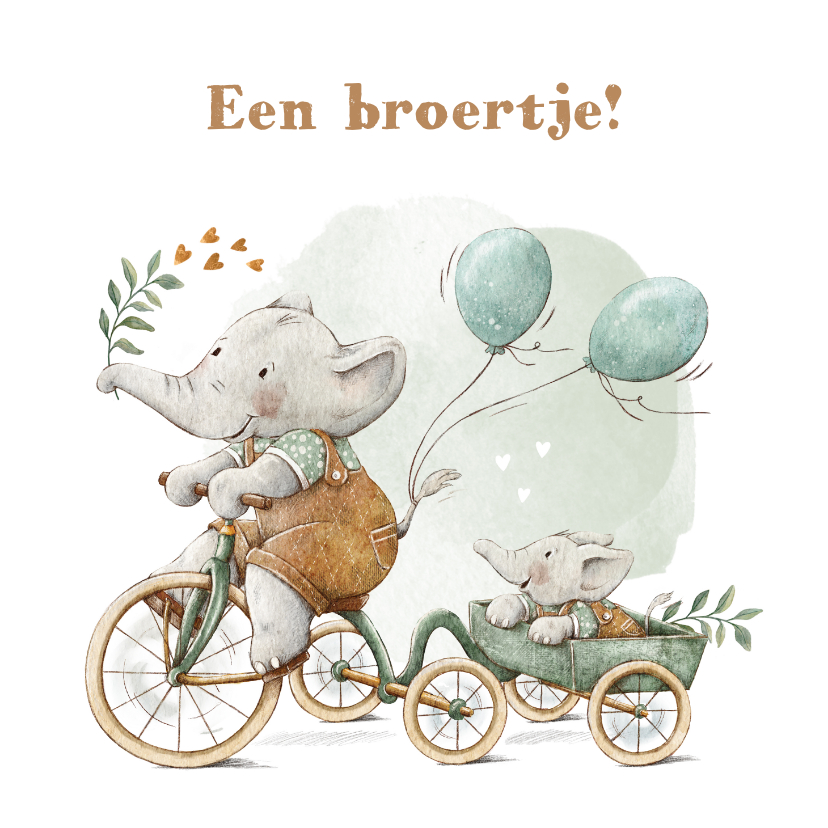 Geboortekaartjes - Geboortekaartje broertje met twee olifantjes op de fiets