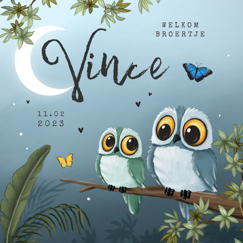 Geboortekaartje broertje uil vlinders jungle boom sterren - Geboortekaartjes Geboortekaartjes - Geboortekaartje broertje uil vlinders jungle boom sterren