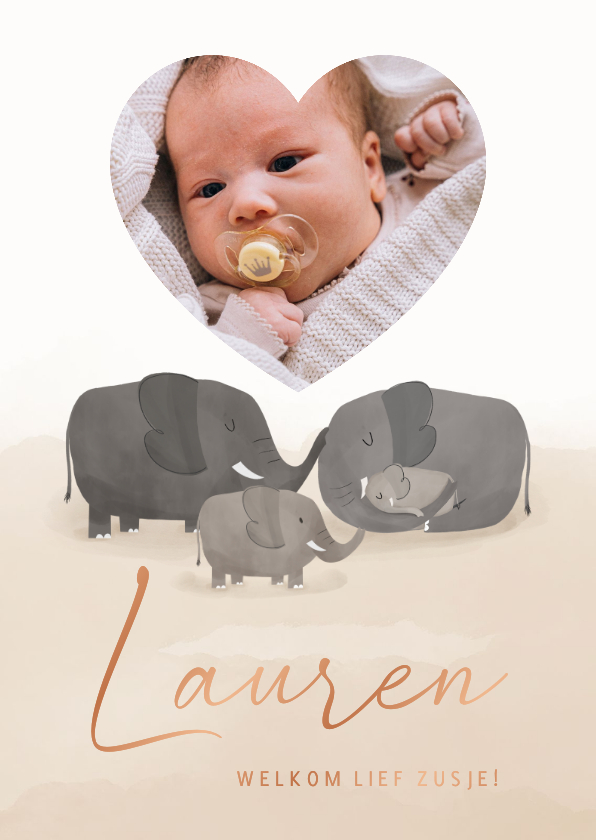 Geboortekaartje broertje zusje met olifanten en foto - Geboortekaartjes Geboortekaartjes - Geboortekaartje broertje zusje met olifanten en foto