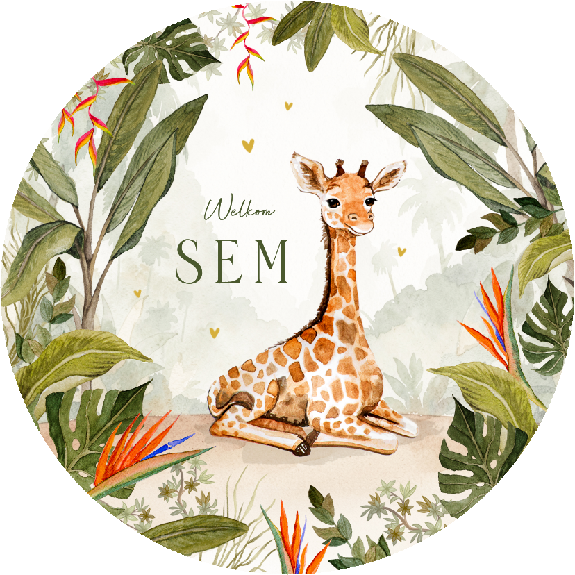 Geboortekaartje cirkel giraf jungle waterverf baby schattig - Geboortekaartjes Geboortekaartjes - Geboortekaartje cirkel giraf jungle waterverf baby schattig