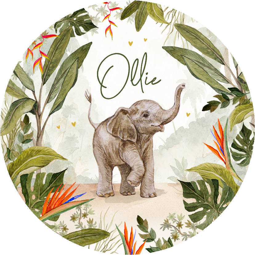 Geboortekaartjes - Geboortekaartje cirkel jungle olifant baby schattig