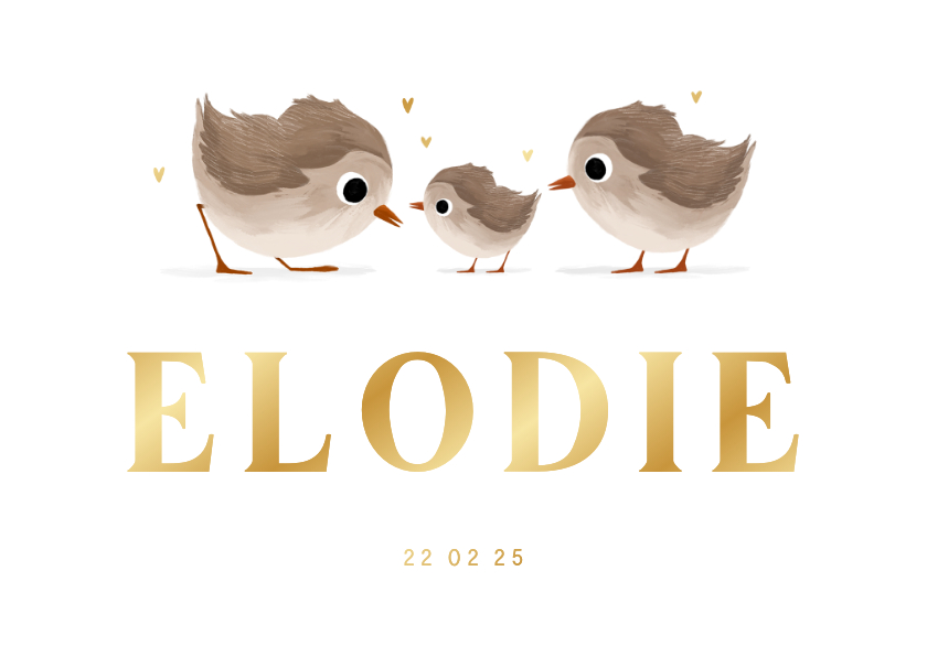 Geboortekaartje derde broertje of zusje met vogeltjes - Geboortekaartjes Geboortekaartjes - Geboortekaartje derde broertje of zusje met vogeltjes