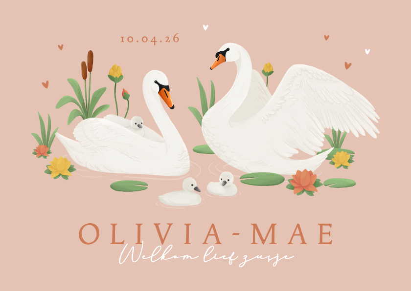 Geboortekaartje derde kindje zwanen lief lente zusje - Geboortekaartjes Geboortekaartjes - Geboortekaartje derde kindje zwanen lief lente zusje