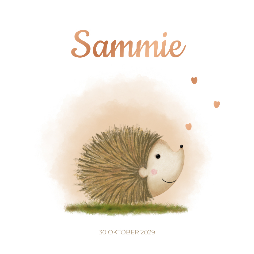 Geboortekaartjes - Geboortekaartje egeltje Sammie met hartje
