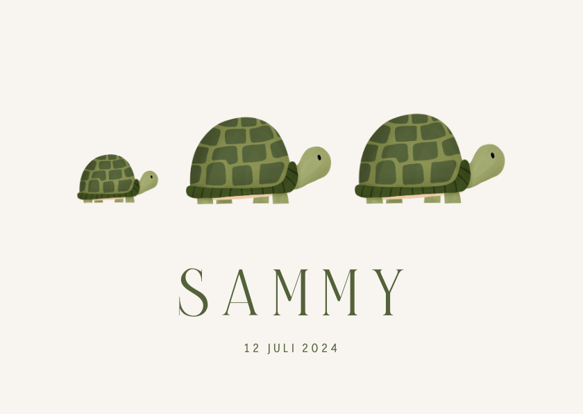 Geboortekaartjes - Geboortekaartje familieportret schildpadjes groen