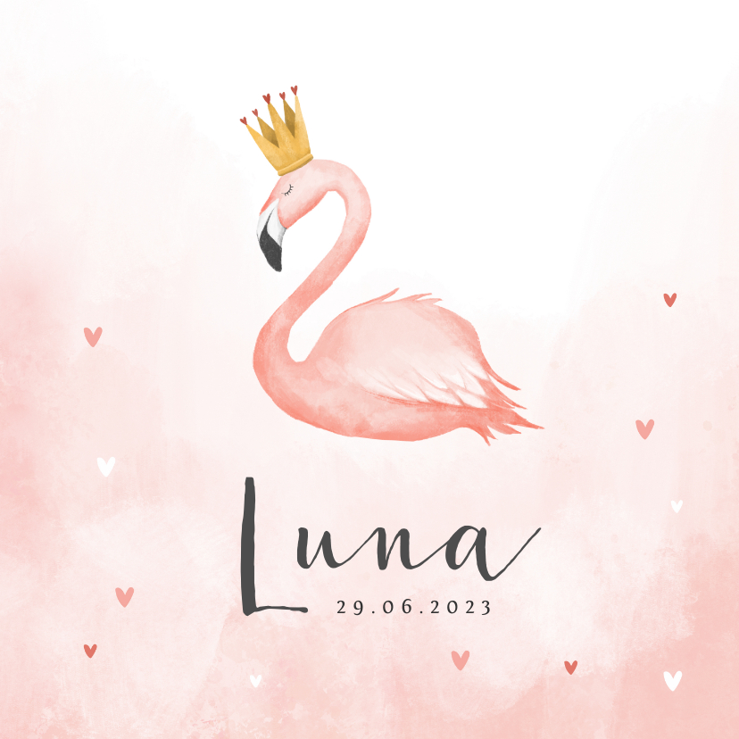 Geboortekaartjes - Geboortekaartje flamingo hartjes meisje verf kroontje
