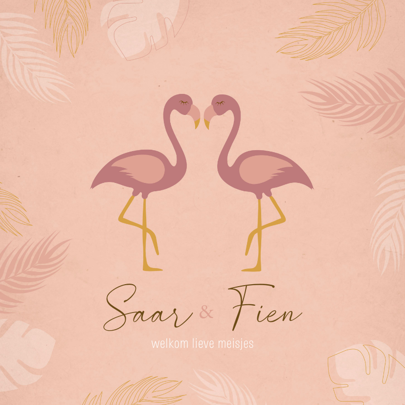 Geboortekaartjes - Geboortekaartje flamingo's tweeling