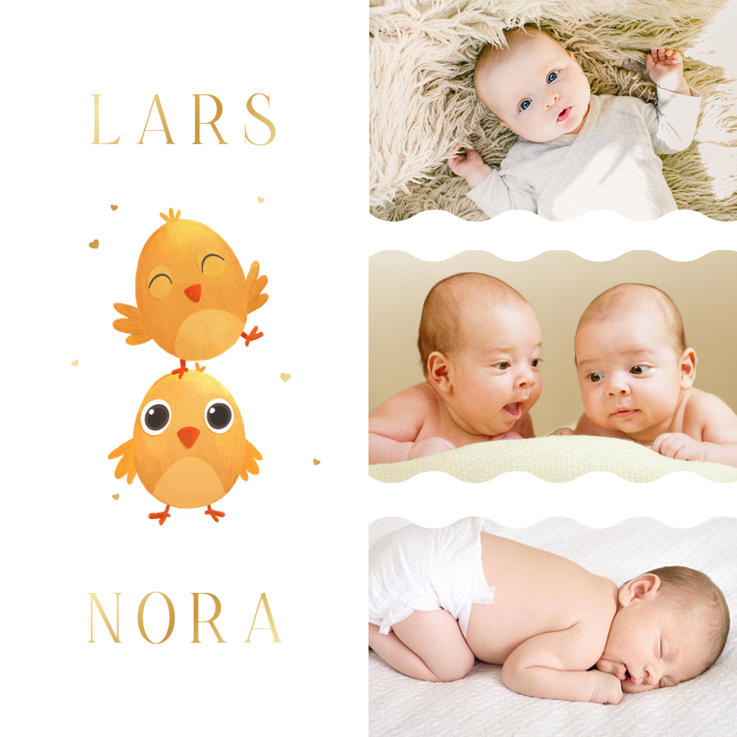 Geboortekaartjes - Geboortekaartje fotocollage tweeling kuikentjes lente goud