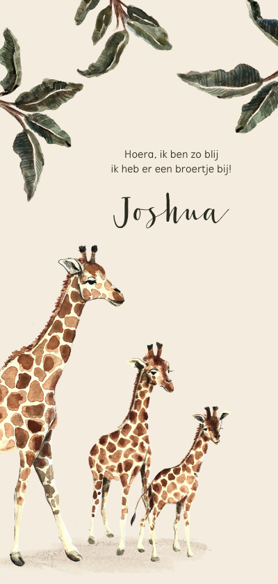 Geboortekaartje giraffen voor een tweede kindje - Geboortekaartjes Geboortekaartjes - Geboortekaartje giraffen voor een tweede kindje