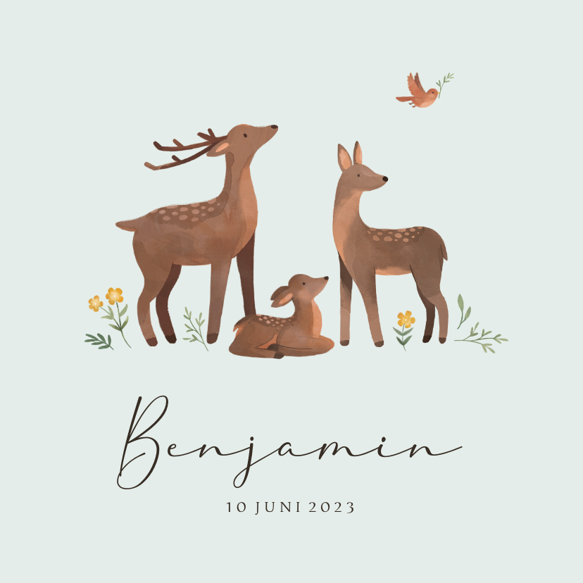 Geboortekaartje hertenfamilie bloemen vogel lief - Geboortekaartjes Geboortekaartjes - Geboortekaartje hertenfamilie bloemen vogel lief